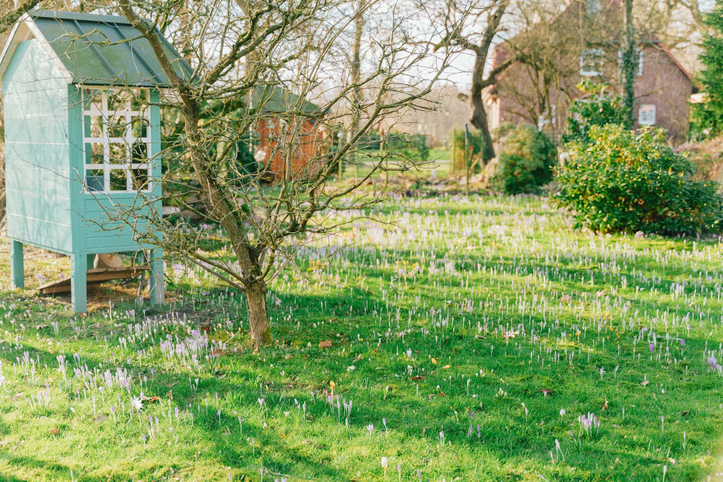 A Love Letter to Spring — HER 86m2 - by Thuy Dao